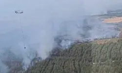 Tekirdağ Şarköy'deki yangında son durum... 15 uçak, 19 helikopter seferber