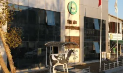 Tire Süt Kooperatifi’nden yangın bölgesine dayanışma eli