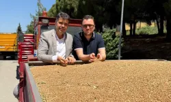 TMO 25 bin ton buğday aldı