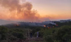 Urla’da yangın kontrol altına alındı