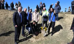 Bursa Nilüfer'in atıl arazileri hem nefes hem gelir kaynağı oluyor