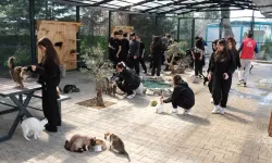 Bursa Yıldırım'da gençlerden patili dostlara sevgi ziyareti