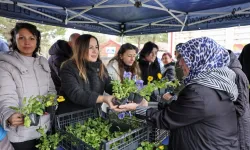 Eskişehir'de kabristan çiçekleri Büyükşehir'den