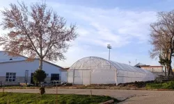 Geleceğin tarımı okul bahçesinde yeşeriyor