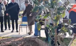 Mudanya Güzelyalı'da doğa dostu Emin Amca 'geleceğe nefes' oldu