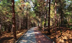 Sakaryalılar baharı 'Huzur Koridoru'nda koşarak karşılayacak