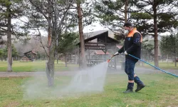 Sivas'ta yaz öncesi ilaçlama seferberliği