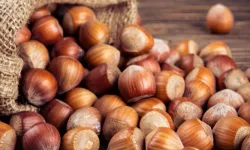 TMO'dan 'kabuklu fındık' açıklaması: Satışımız ve hazırlığımız bulunmamaktadır