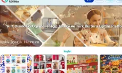 Ülkem Yanımda Platformu, Türkçe ve kültürü evde öğretiyor