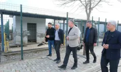 Adanalı veterinerlerden hayvan bakımevine inceleme
