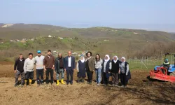 Bursa Nilüfer'de atıl araziler bereketleniyor