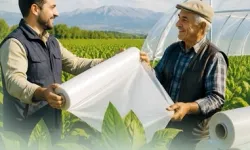 Denizli Büyükşehir'den tütün üreticisine destek