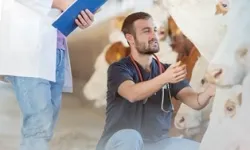 Denizli Büyükşehir'den üreticiye sahada destek