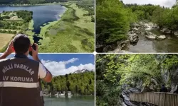 Doğa Koruma ve Milli Parklar Uzmanlığı için 'tez' zorunluluğu