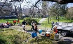İzmir Bornova'da 'Kedili Park' yeniden güvenli hale geldi