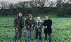 Keşan'da yağışlar verimi artırdı, hastalık riskini büyüttü