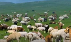 Kırsalda Bereket başvurularında son gün 30 Nisan