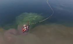 Kocaeli'nin çevre projesi deniz canlılarını canlandırdı