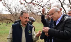 Malatya'da dolu felaketi sonrası yerinde tespit... Yaraları birlikte saracağız