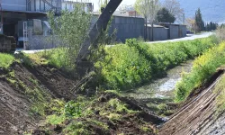 Manisa Akhisar'da dere temizliği