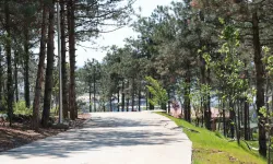 Pelitli Bayraktepe Mesire Alanı'nda çalışmalar tam gaz