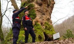 Yalova'da Jandarma turizm bölgelerinde güvenliği artırdı