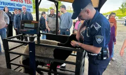 Gaziantep'te bayram öncesi hazırlıklar tamamlandı