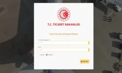 Havayolu Beyan Sistemi devrede... Gümrükte dijital dönem