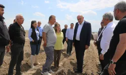 Konya'da patates atağı... İthal tohum dönemi sona eriyor