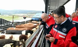 Kurbanlık sevklere 7/24 denetim!
