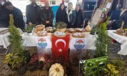 Yalova'da Ata Tohumuna büyük destek