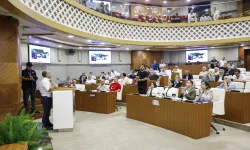 Antalya'da vektör mücadelesi kesintisiz şekilde yürütülüyor