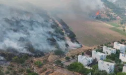 İzmir Dikili'de otluk ve zeytinlik alanda çıkan yangına müdahale sürüyor