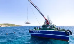 İzmir'de midye kabukları deniz yaşamına nefes olacak