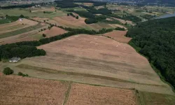 Kocaeli Büyükşehir destekledi, tarlada verim arttı