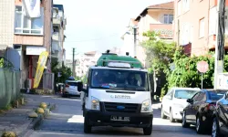 Kocaeli Çayırova'da vektörle mücadele sürüyor