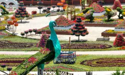 Konya Selçuklu Çiçek Bahçesi yeni sezona kapılarını açıyor