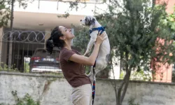Mersin'de 'Yaşamı Sahiplen' kampanyasıyla binlerce can yuva buldu