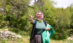 Mersin'de yerel tohumlarla üretim güçleniyor