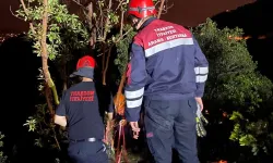 Trabzon'da itfaiye ve AFAD'dan kurtarma operasyonu