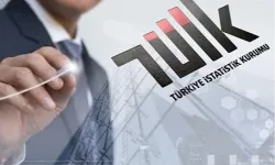TÜİK, 9 uzman yardımcısı alacak