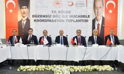 Van Valiliği'nde düzensiz göçle mücadele