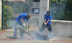 Antalya'da vektörel mücadele 4 koldan yürütülüyor