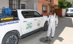 Bursa Osmangazi'de haşereye karşı anında müdahale
