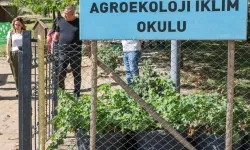 Diyarbakır'da Tıbbi Aromatik Bitki Üretim ve İşleme Tesisi