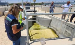 Gaziantep'te çevre ihlaline milyonluk ceza! Nizip OSB'ye 2,1 milyon TL yaptırım