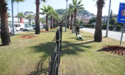 Giresun Belediyesi'nden yoğun çalışma