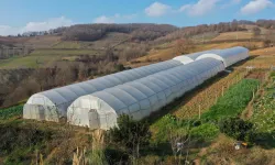 Kocaeli Büyükşehir tarımı geleceğe taşıyor
