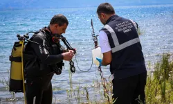 Sapanca'daki alg oluşumu mevsimsel