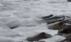 Akçakoca'yı hareketlendiren cisim!